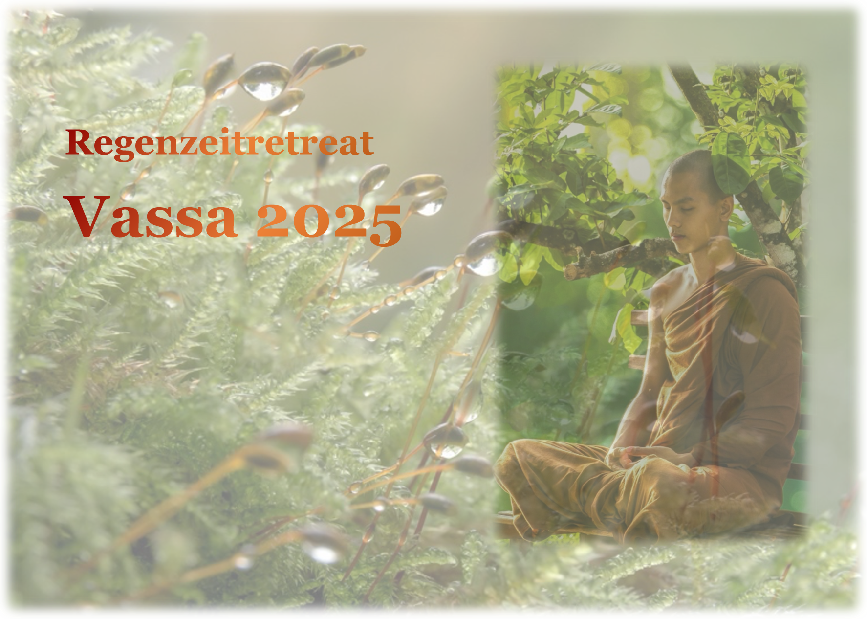 Regenzeitretreat Vassa 2025