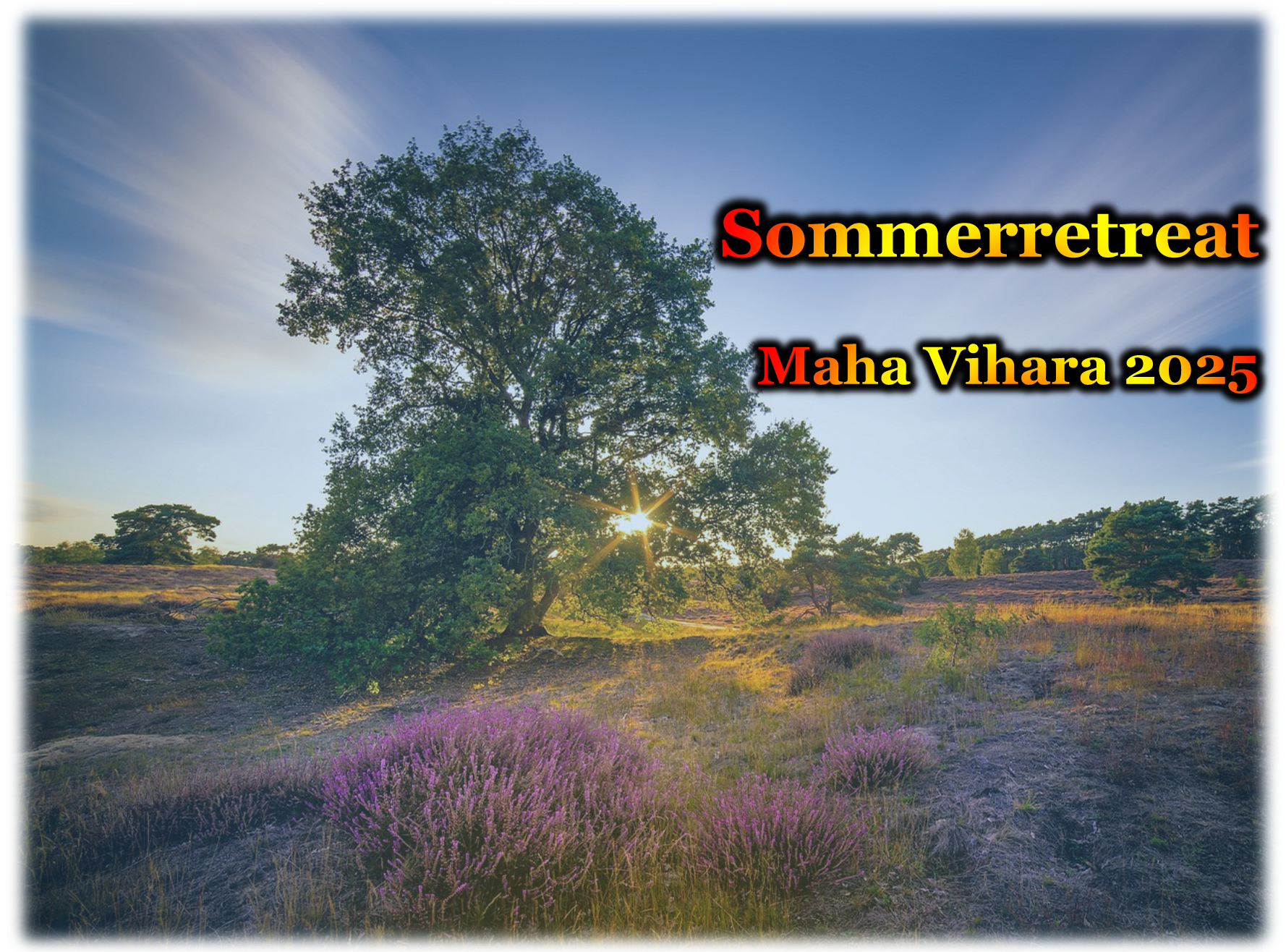 Sommerretreat_im_Maha_Vihara_2025